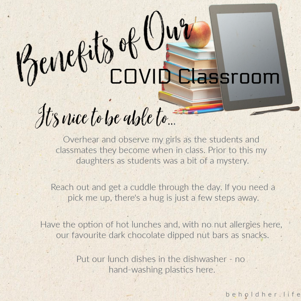 Benefit of Our COVID Classroom 
A list of benefits that can be indulged because of homeschooling
beholdher.life